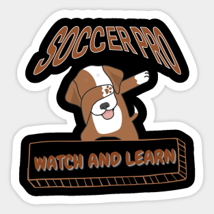 Soccer Pro Watch and Learn Sticker